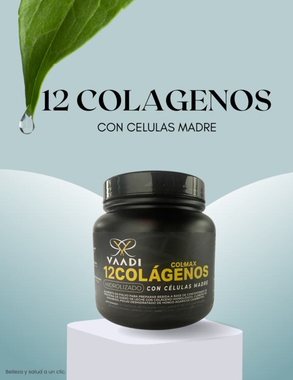 12 Colágenos con células madres