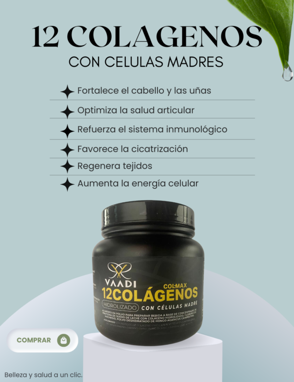 12 Colágenos con células madres - Image 2